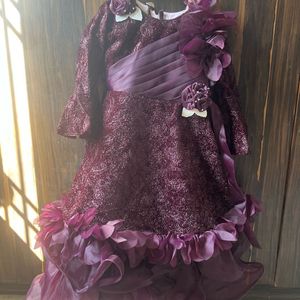 Embellished Purple Gown Fully Flared