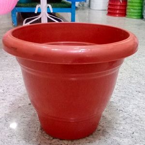 Plant Pot