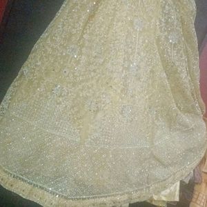 Brand New Lehnga