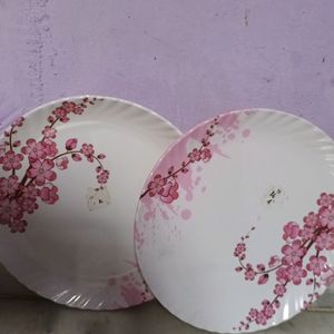 2 Beautiful melamine 🍽 Plates ..