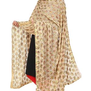 Chiffon Embroidered Women Dupatta (Beige Colour)