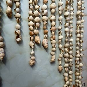 ❣️ Wall Hanging Sea Shell 🐚