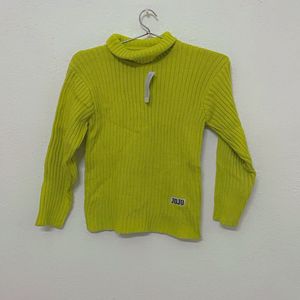 Imported Ribbed Knit Turtle Neck Sweater