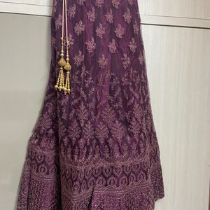 Elegant PartyWear Lehenga With Designer Blouse