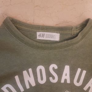 Boys/Unisex H&M Military Green Dinosaur Sweatshirt