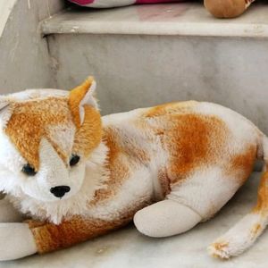 Cute Realistic Cat Plushie For Kids