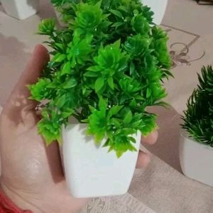 6 Artificial Plant ☘️