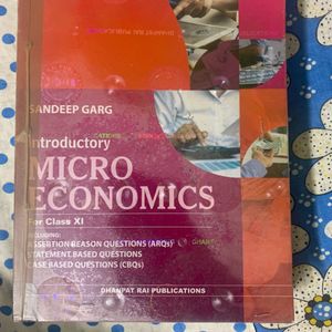 Introductory Micro Economics Class XI (11)