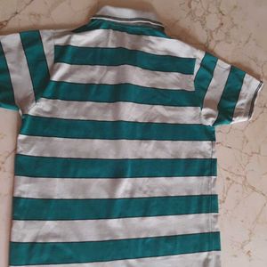 SANRO Green Regular Fit Striped T-Shirt