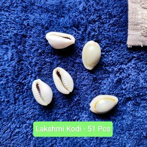 Natural Lakshmi Pujan Kodi Shells 51 Pcs