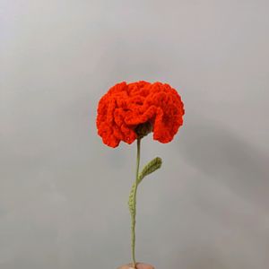 Cute Crochet Carnation Flowers 💐✨️