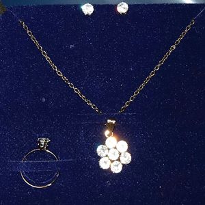 Combo Set Of Necklace, Earing and Ring