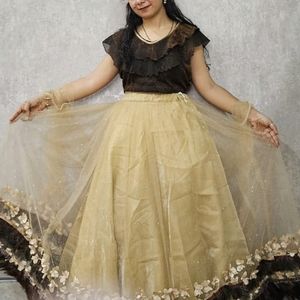 Hevey Lehenga Choli.With Designer Chunni