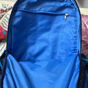 Skybags Backpack