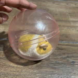 Rolling Hamster Toy (Battery Included)