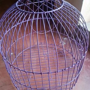 Birds Cage