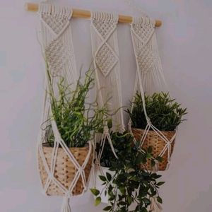 Wall Hanging Plant Stand
