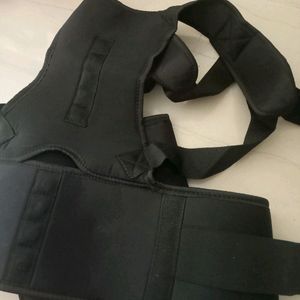 Back Bone Straight Belt