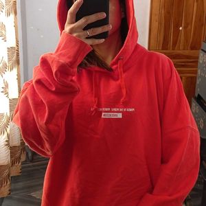 Hoodie(Pick Any@500)