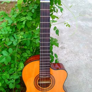 🎸Ibanze Ga6ce-Am Professional Classical guiter.