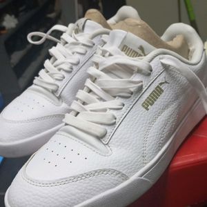 Puma Sneaker White