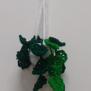 Wall Hanging Plant Crochet Cute