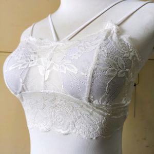 Lightly Padded bra