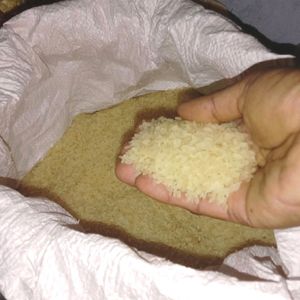 10 Kg Raw Ration Rice