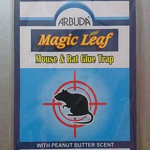 Mouse & Rat Glue Trap