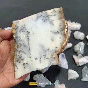 Dendritic Agate Unpolished Slice / Slab