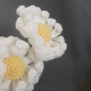 Large Double Layer Crochet Daisy Flowers