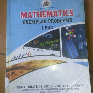 Mathematics Examplar Problems Book