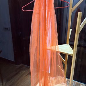 Coral Net Dupatta