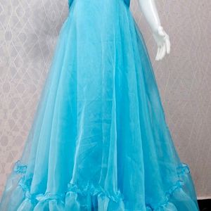 Organza Long Flaired Frock