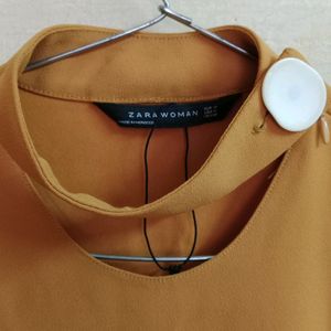 Zara Mustard Stylish Top