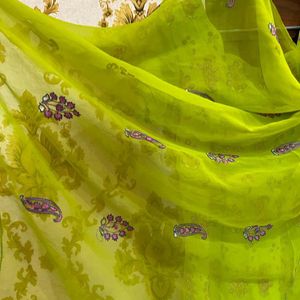 BIBA: FULL PUNJABI GREEN, KASHMIRI KADHAI ELEGANCE