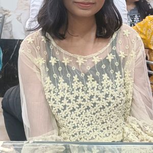 Sheer Net Kurta