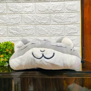 Cat Pillow And Plush