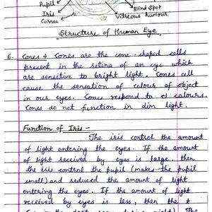 Class 10 Physics Handwritten Notes NCERT CBSE