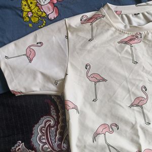 Combo Of 2 Crop Tshirts