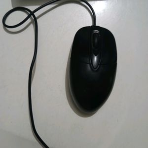 Mouse For Sale