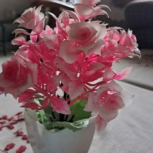 PINK FLOWERS