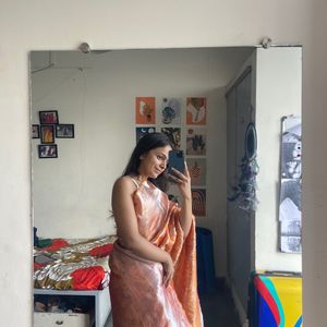 Orange Beautiful Sari