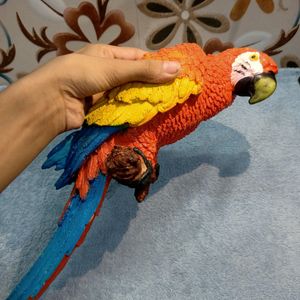 ❣️ Parrot