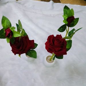 Rose Pots Pack Of 2