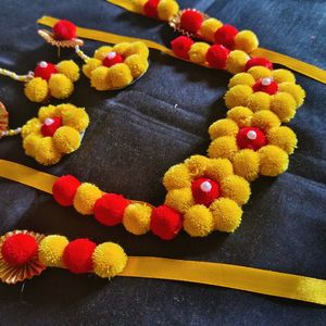 Pompom Haldi Mehandi Set