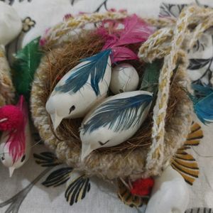 Small Birds With Nest Combo 2