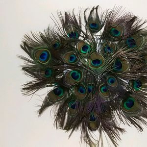 Wall Decorating Peace With Peacock Feather