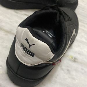 Puma Shoes