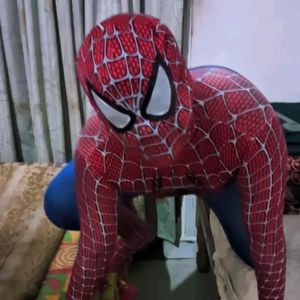 Spiderman Cosplay